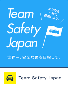 Team Safety Japan(仮)